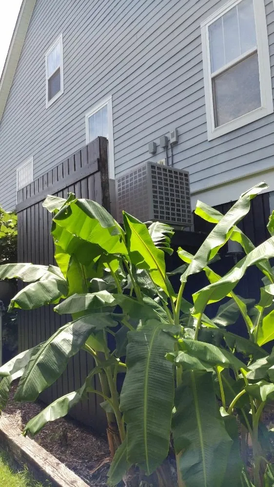 Slide of Benware Mechanical