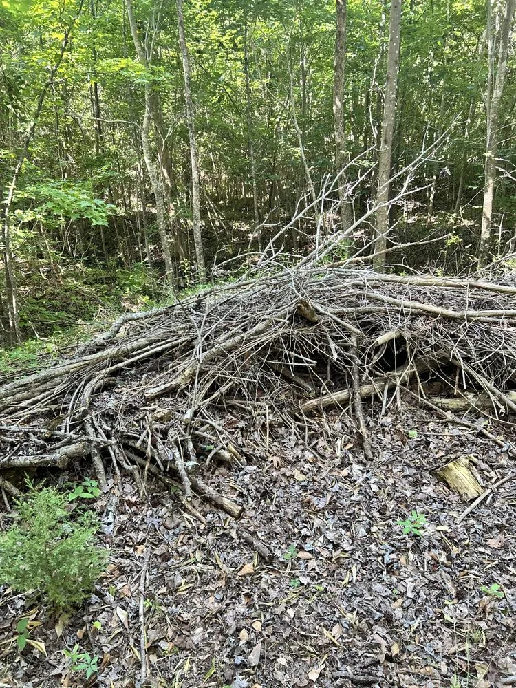 Slide of Berkley & Stafford Property Management Services