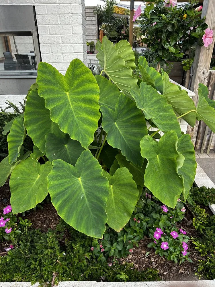 Slide of Berkley & Stafford Property Management Services