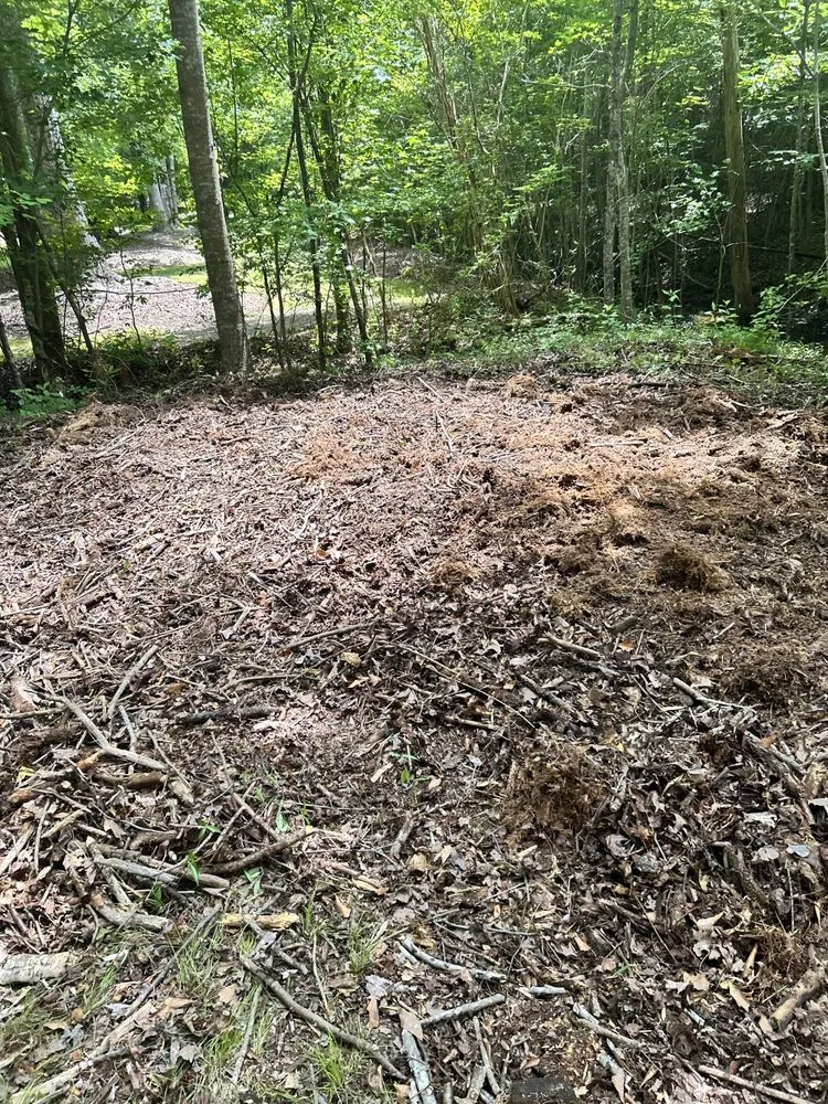 Slide of Berkley & Stafford Property Management Services