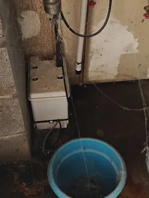 Bertoli Plumbing and Heating