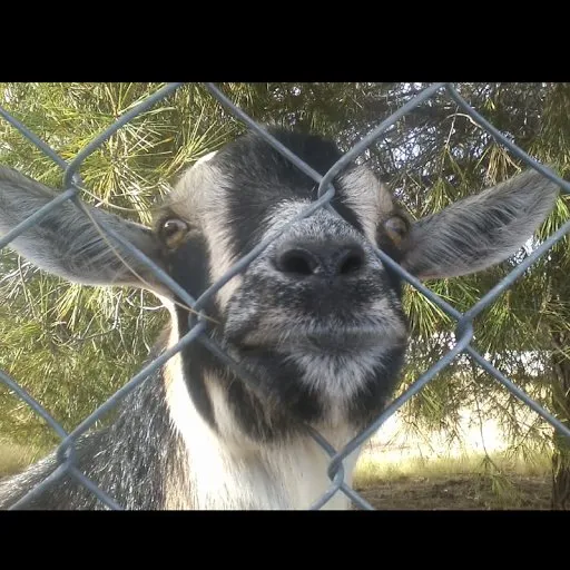 Slide of Best By Farr