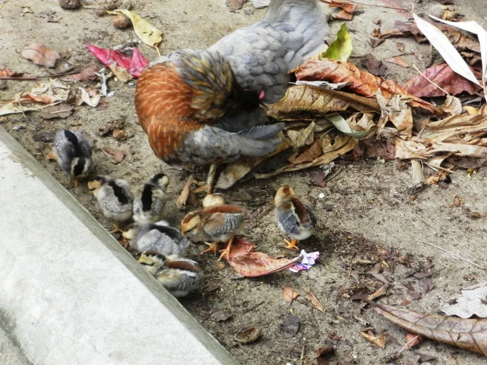 Slide of Best Choice Plumbing & Heating