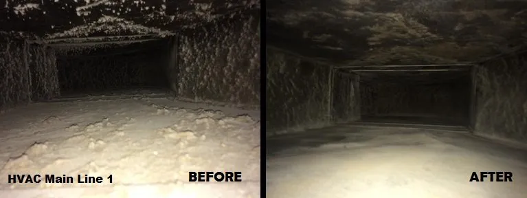 Slide of Best Cleaning & Disaster Restoration Services