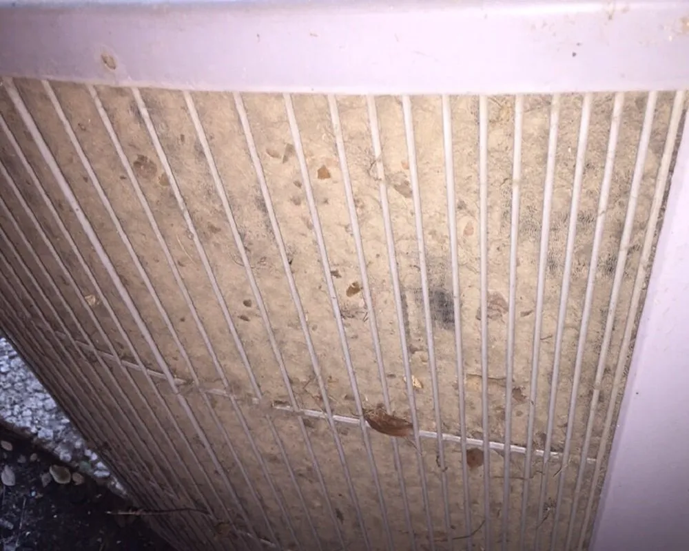 Slide of Best Heat and Cool Air Goodyear