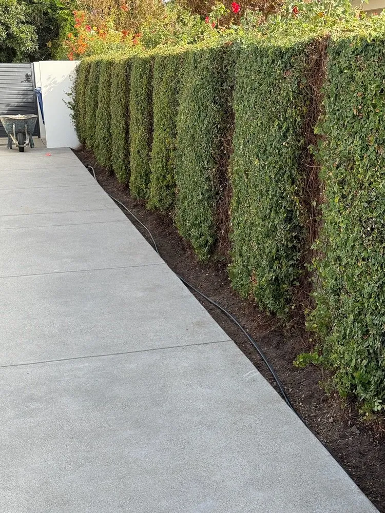 Slide of Best Home and Commercial Services