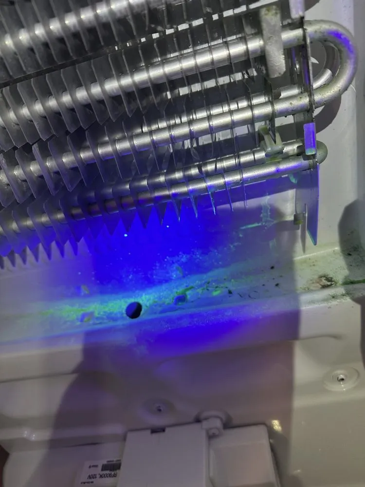 Slide of Best Repair