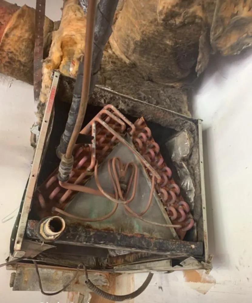 Slide of Best Tech Alliance