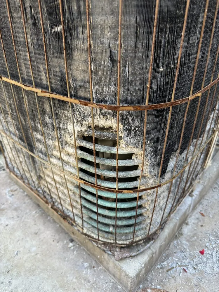 Slide of BestService