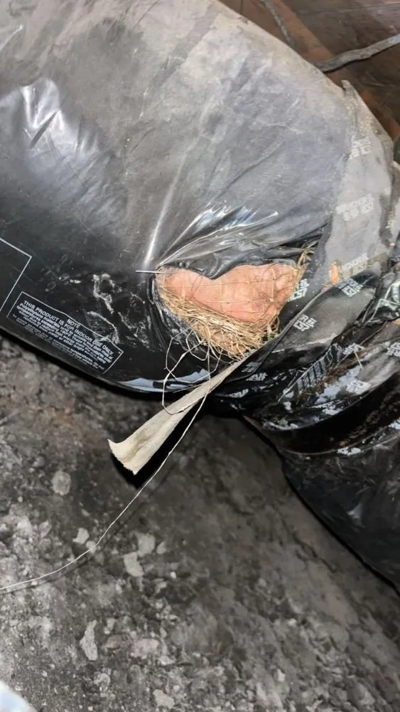 Slide of Betio Handyman Services