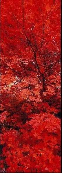 Slide of Beyer Boys Air Conditioning & Heating