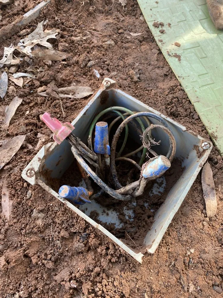 Slide of Big Al Mechanical