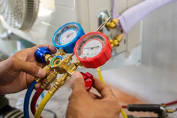 Slide of Big C & Sons