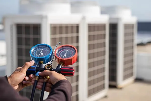 Slide of Big C & Sons