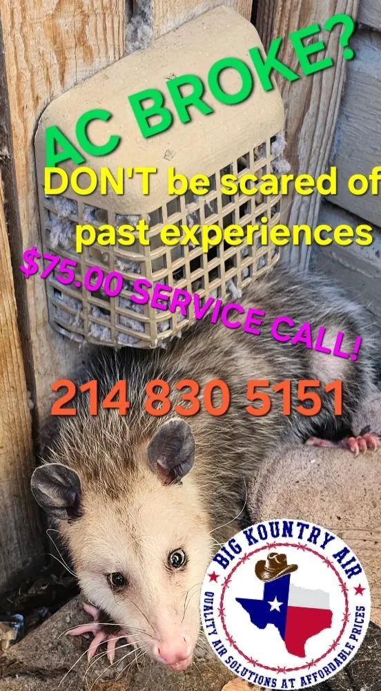 Slide of Big Kountry Air