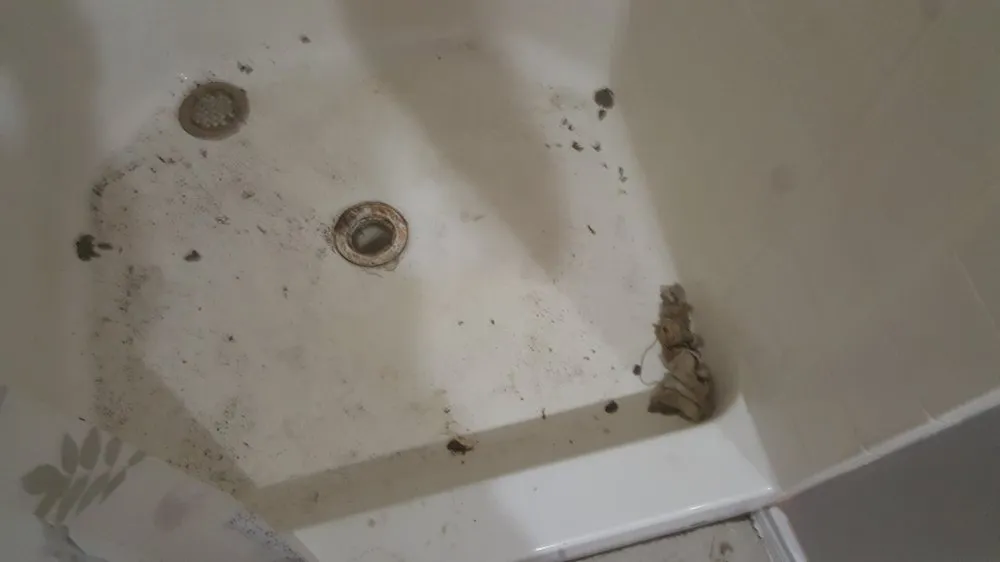 Slide of Big Tex Plumbing