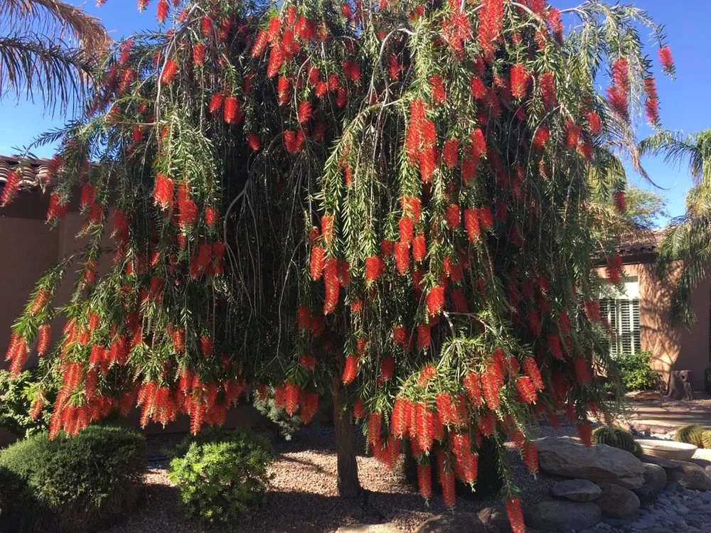 Slide of Bijan Air Conditioning