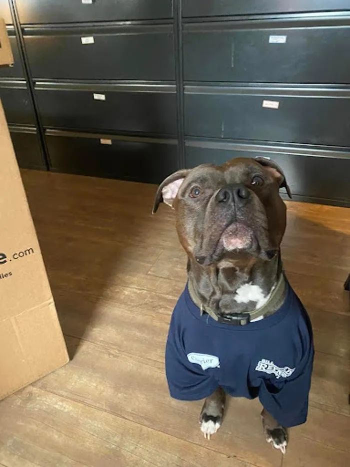 Slide of Bill Reynolds Heating & Air Conditioning