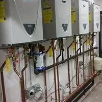 Bill Yenalevitch And Son