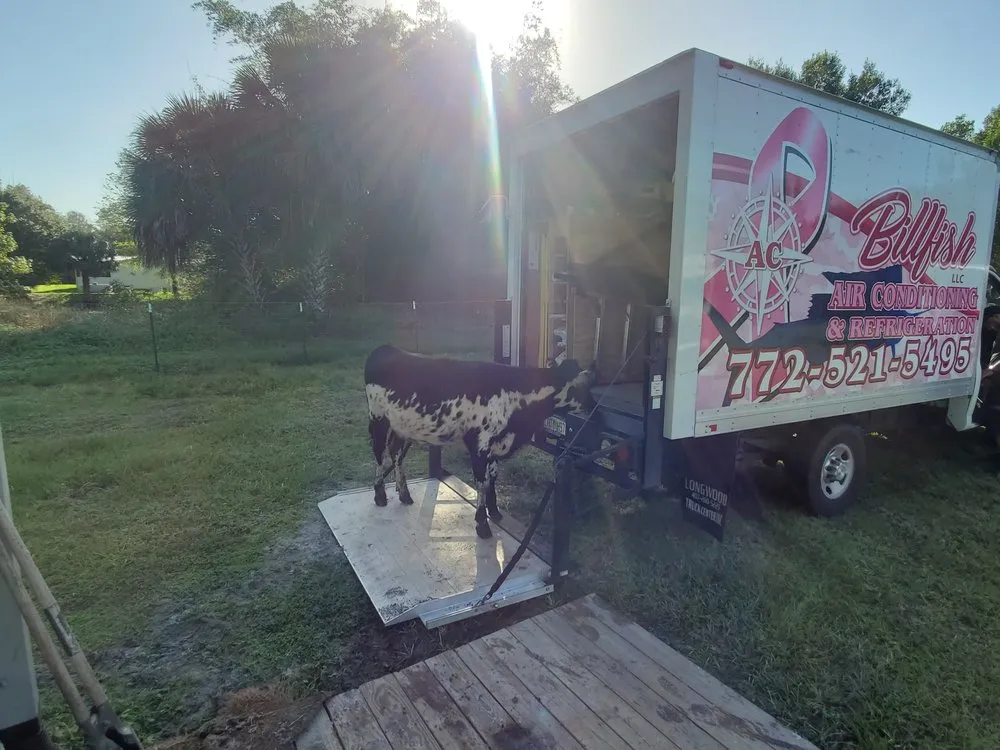 Slide of Billfish Air Conditioning