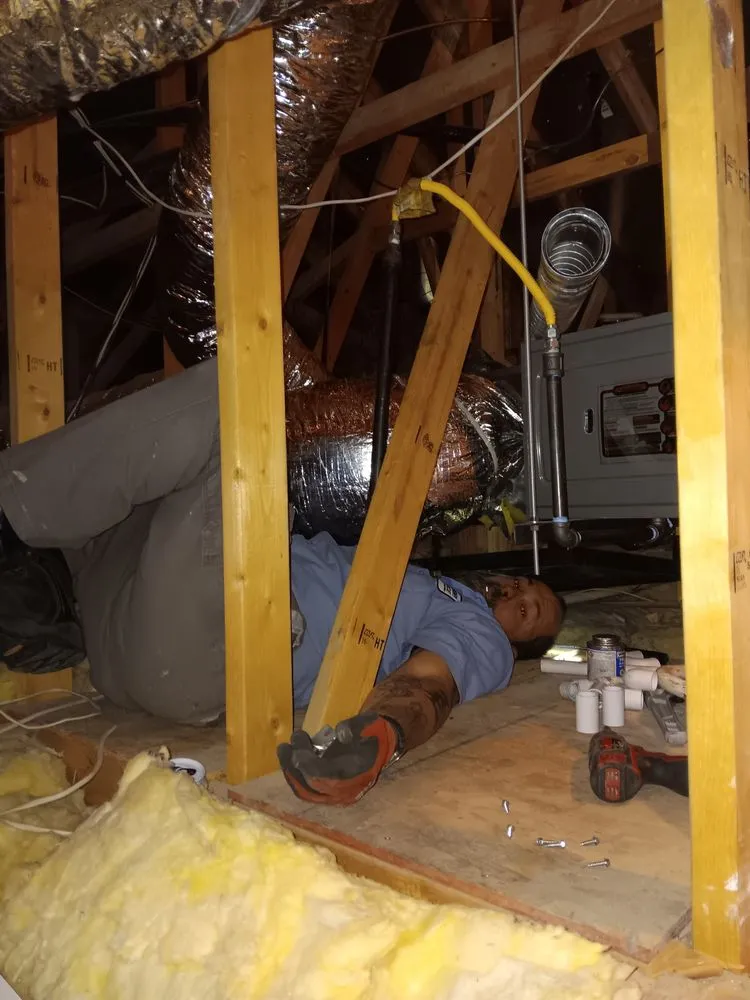 Slide of Bishop Air Service