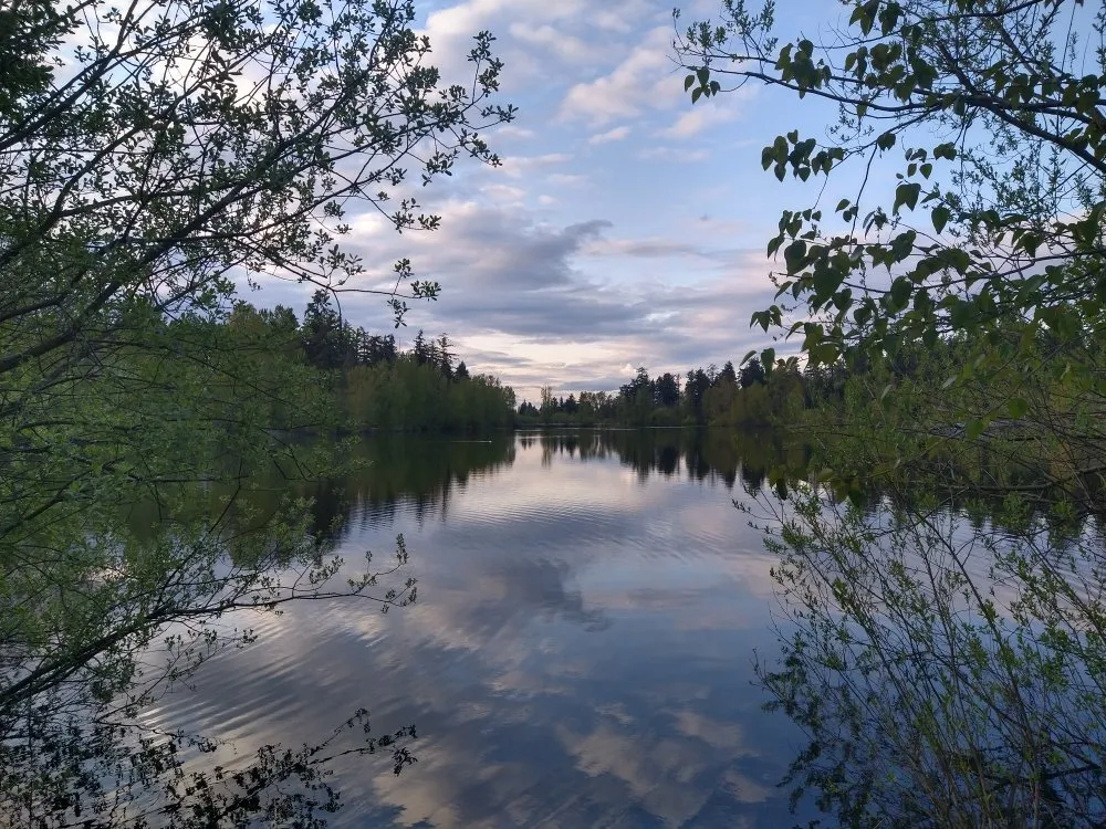 Slide of Black Bear HVAC and Handyman Service