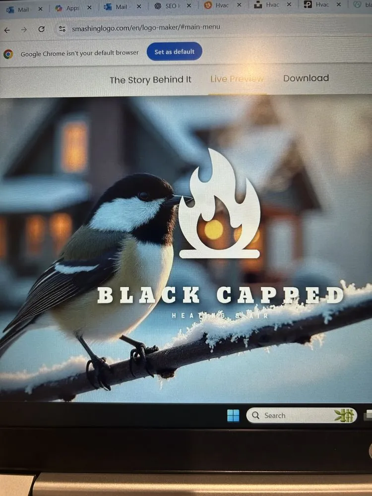 Slide of Black Capped