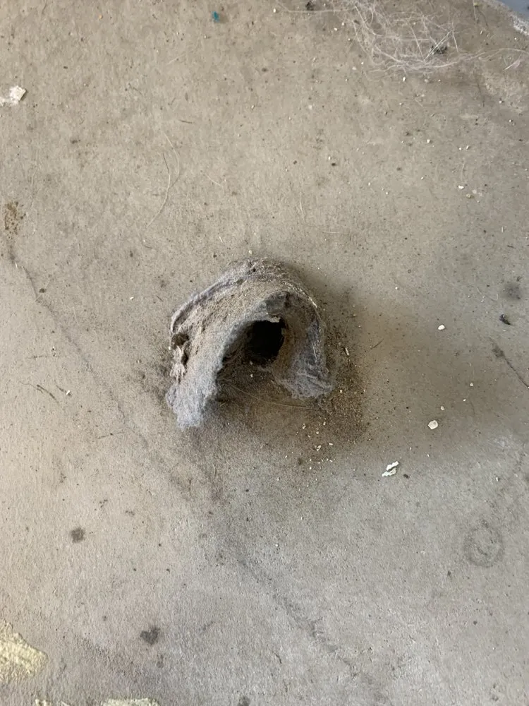 Slide of Black Dog Maintenance