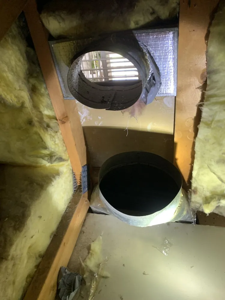 Slide of Black Dog Maintenance