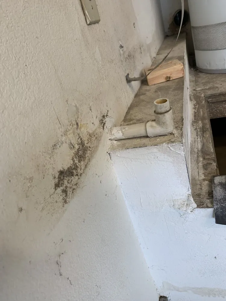 Slide of Black Dog Maintenance