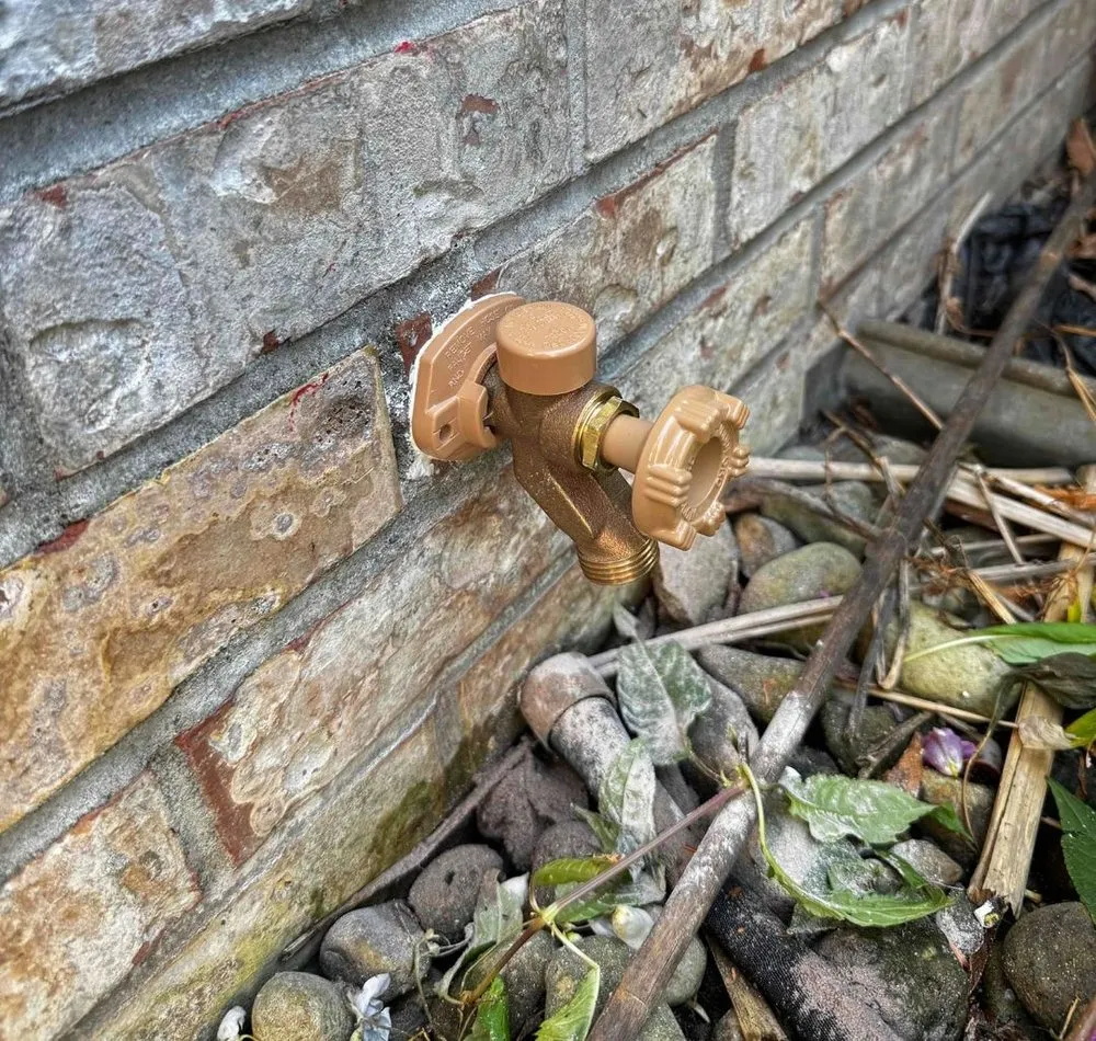 Slide of Black Hills