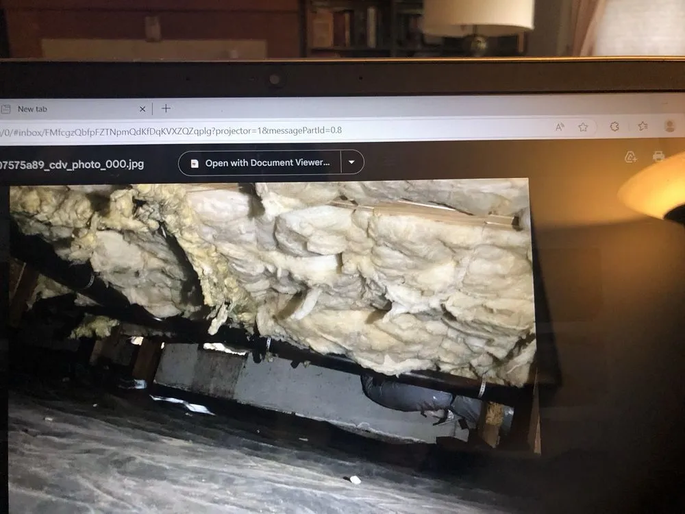 Slide of Black Hills