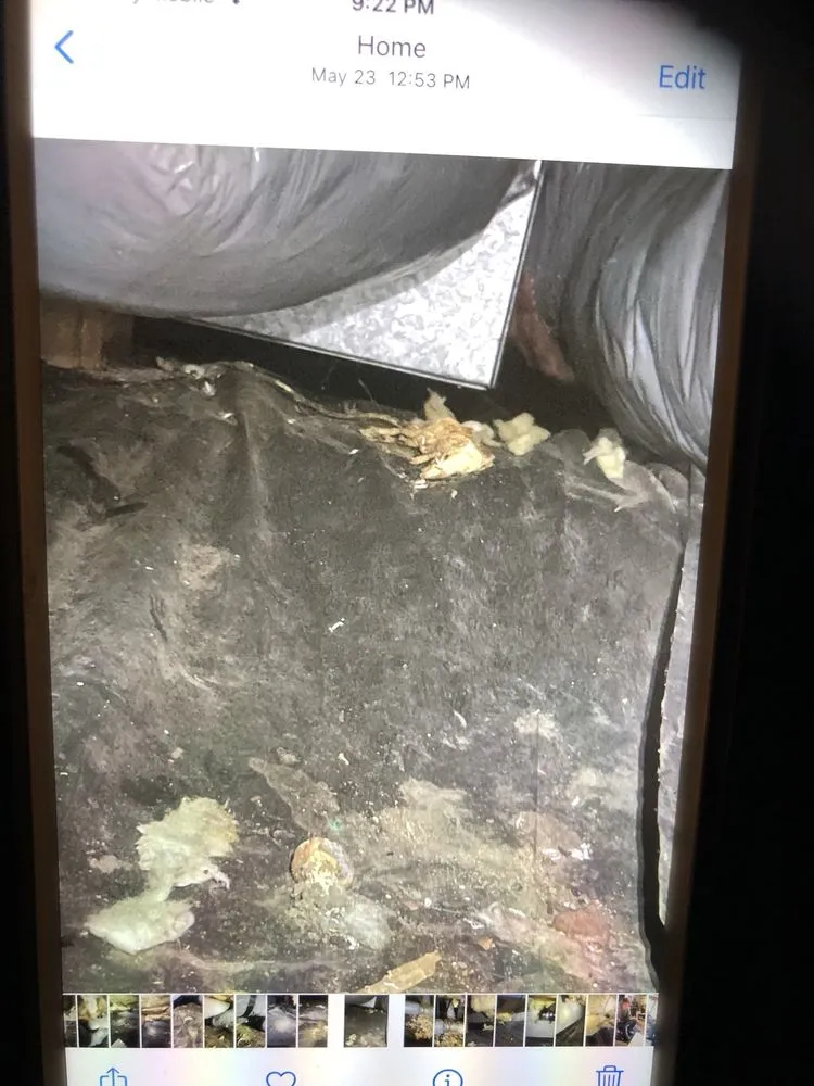 Slide of Black Hills