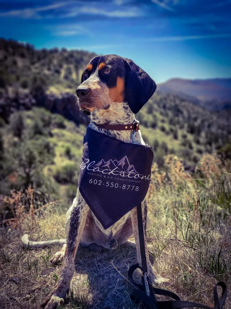 Slide of Blackstone Plumbing, Heating & Air Conditioning