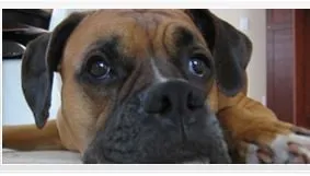 Slide of Blair's Air Conditioning & Heating