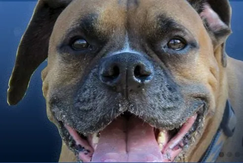 Slide of Blair's Air Conditioning & Heating