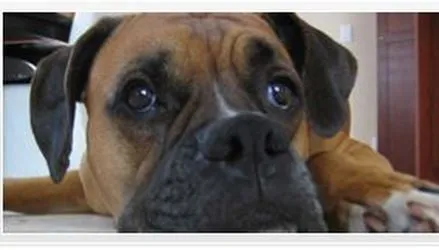 Slide of Blair's Air Conditioning & Heating