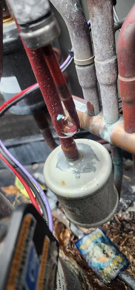 Slide of Blaisin Air