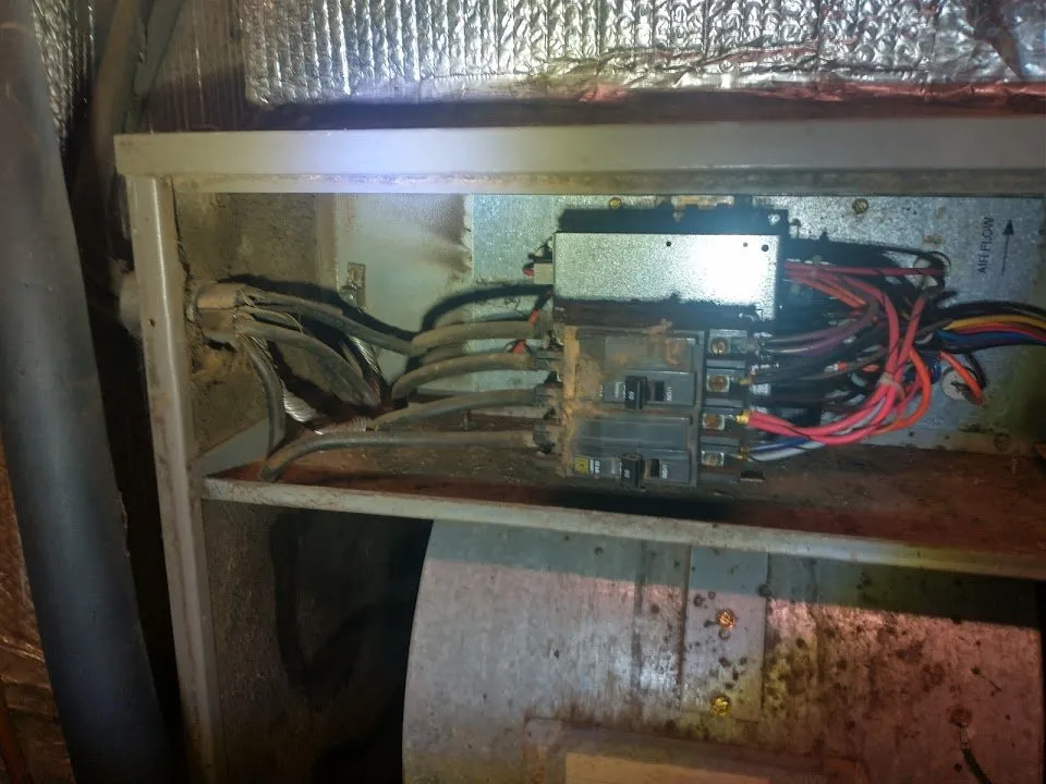 Slide of Blessed Hands