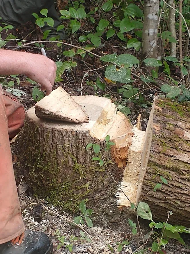 Slide of Blessed Hands