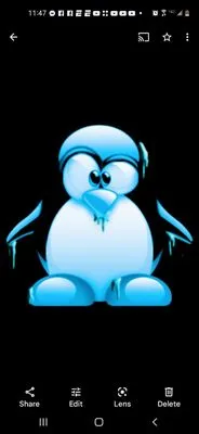 Blizzard Air Solutions & Duct Cleaning