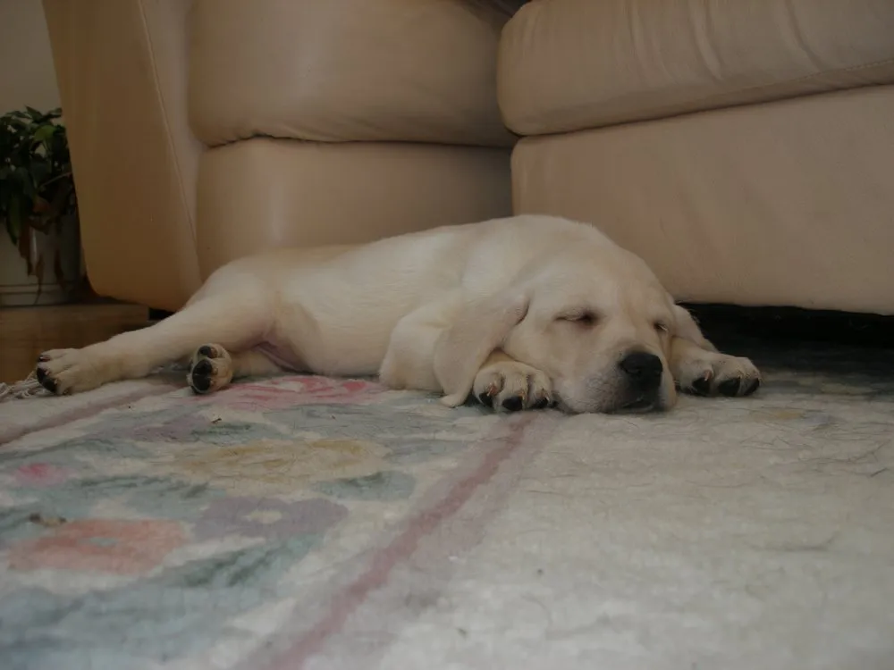 Slide of Blizzard Heating and Air Conditioning