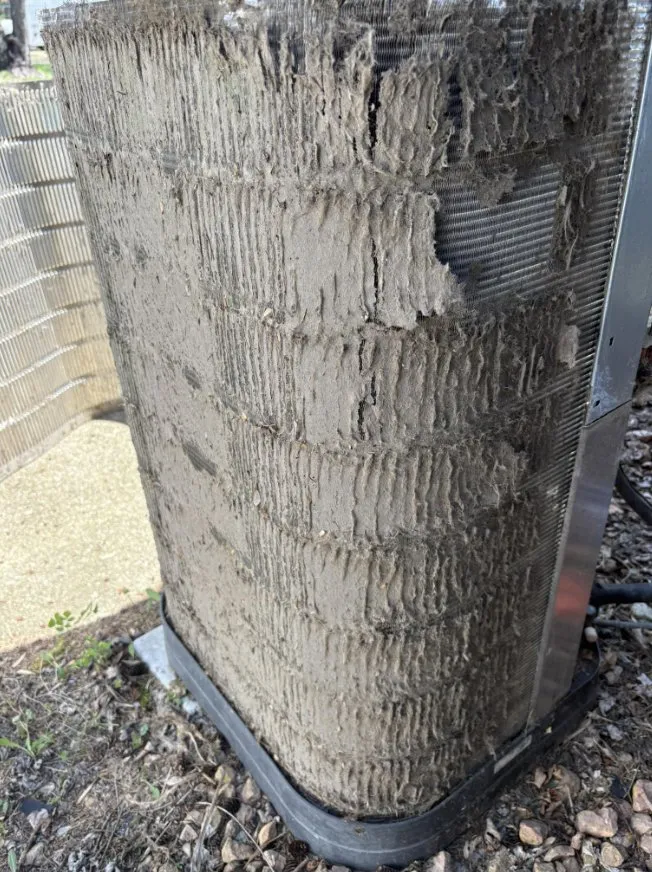 Slide of BluBird Services