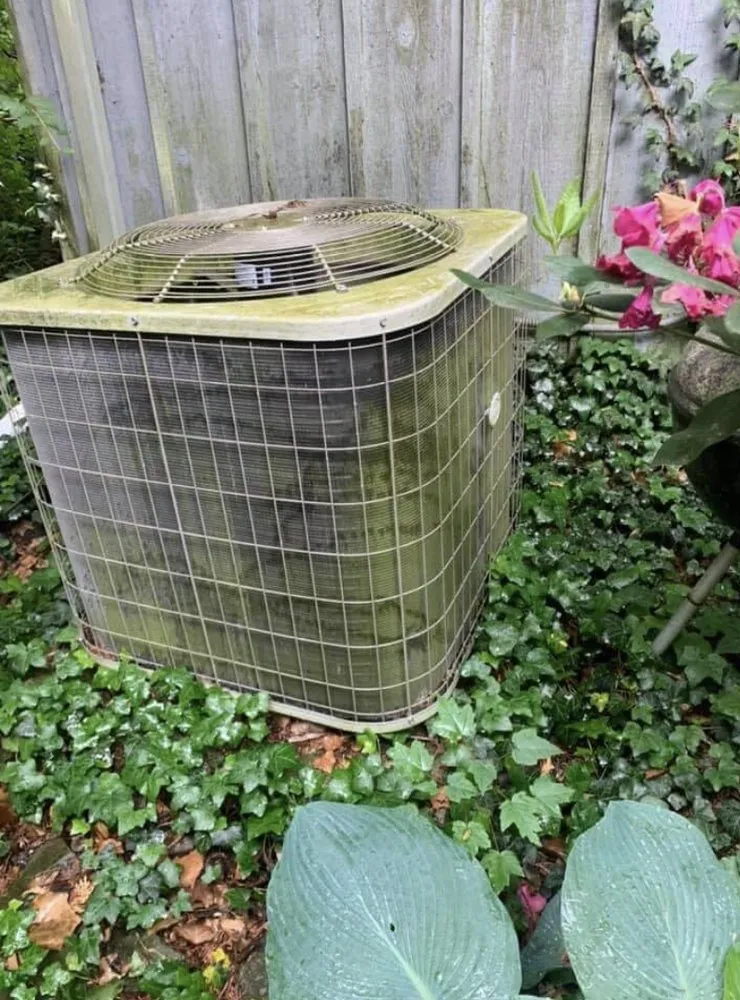 Slide of Blue & Gray Total Home Services