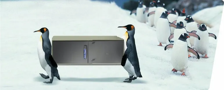 Slide of Blue Air Service