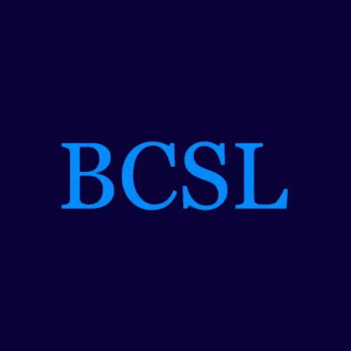 Slide of Blue Castle Systems