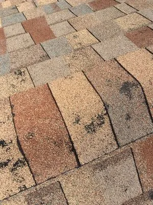 Blue Diamond Construction Logo