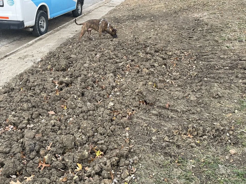 Slide of Blue Dot Heating, Air, Plumbing & Electrical