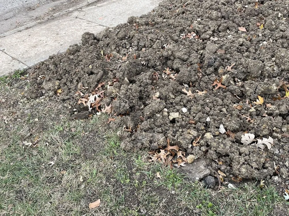 Slide of Blue Dot Heating, Air, Plumbing & Electrical