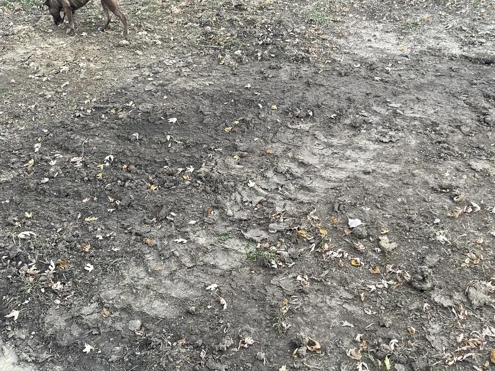 Slide of Blue Dot Heating, Air, Plumbing & Electrical